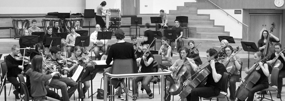 cropedorch-bw560.jpg
