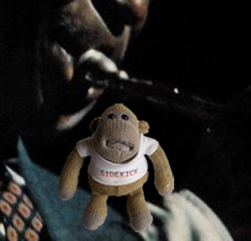 kind-of-bluemonkey-small.jpg